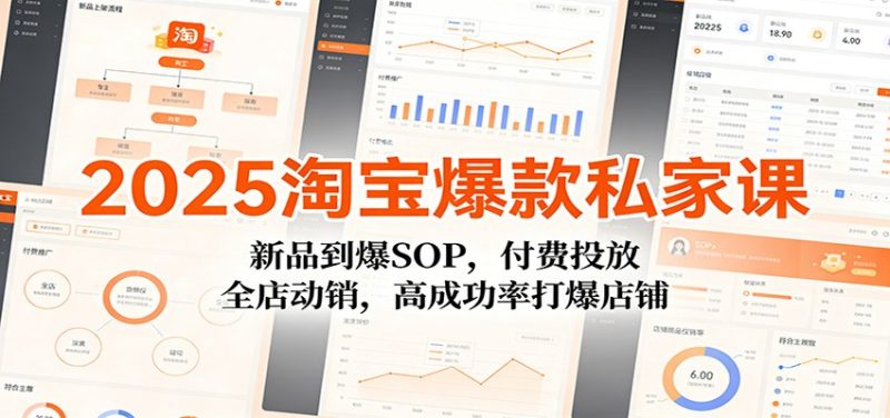 2025淘宝爆款私家课：新品到爆SOP，付费投放，全店动销，高成功率打爆店铺网赚项目-副业赚钱-互联网创业-资源整合百读客