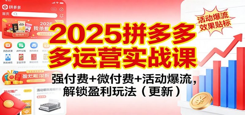 2025拼多多运营实战课:强付费+微付费+活动爆流,解锁盈利玩法(更新)网赚项目-副业赚钱-互联网创业-资源整合百读客