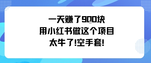 一天挣了9张用小红书做这个项目太牛了,空手套网赚项目-副业赚钱-互联网创业-资源整合百读客