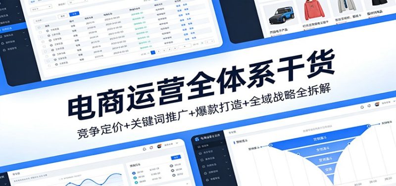 电商运营全体系干货，竞争定价+关键词推广+爆款打造+全域战略全拆解网赚项目-副业赚钱-互联网创业-资源整合百读客