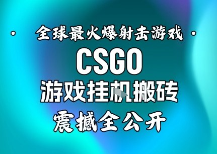【年底大揭秘】基于全球最火爆的射击CSGO游戏挂G搬砖,日入5张+,震撼公开网赚项目-副业赚钱-互联网创业-资源整合百读客